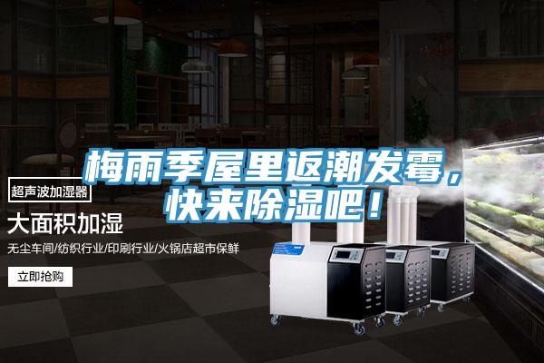 梅雨季屋里返潮发霉，快来除湿吧！