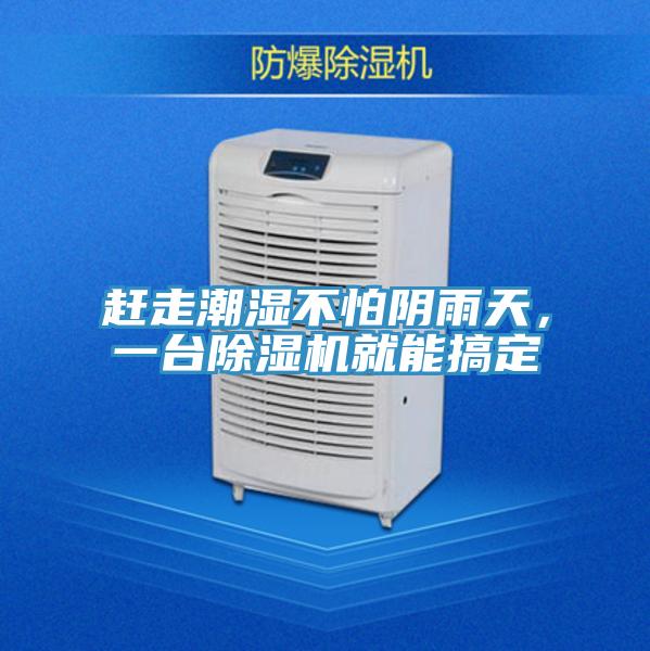 赶走潮湿不怕阴雨天，一台泡芙短视频APP官方下载地址就能搞定