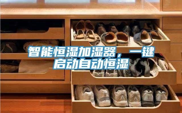 智能恒湿加湿器，一键启动自动恒湿
