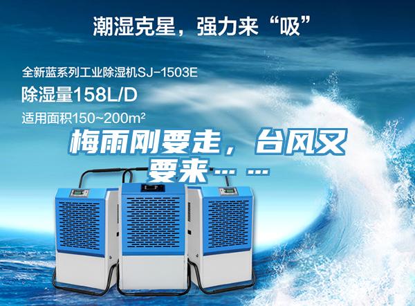 梅雨刚要走，台风又要来……