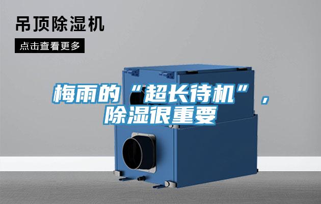 梅雨的“超长待机”，除湿很重要