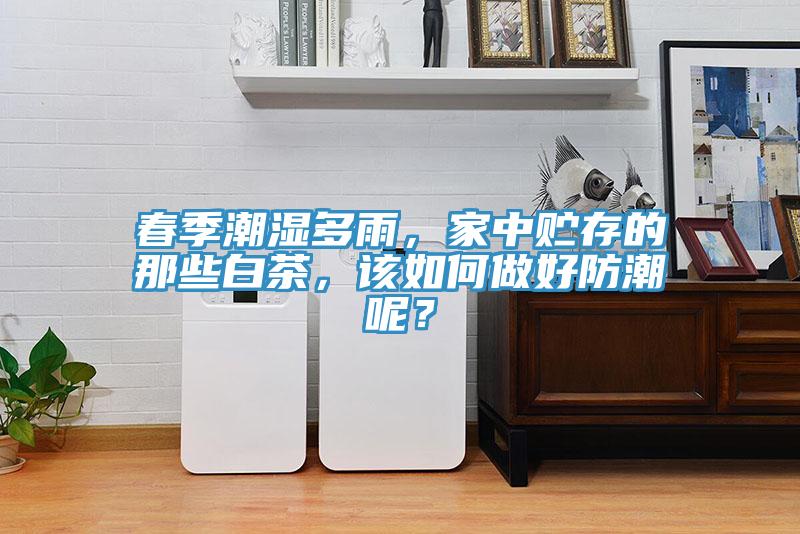 春季潮湿多雨，家中贮存的那些白茶，该如何做好防潮呢？