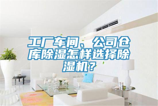 工厂车间、公司仓库除湿怎样选择泡芙短视频APP官方下载地址？