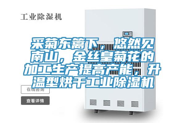 采菊东篱下，悠然见南山，金丝皇菊花的加工生产提高产能，升温型烘干工业泡芙短视频APP官方下载地址