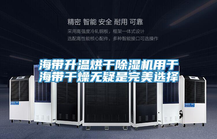 海带升温烘干泡芙短视频APP官方下载地址用于海带干燥无疑是完美选择