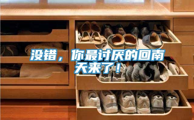 没错，你最讨厌的回南天来了！