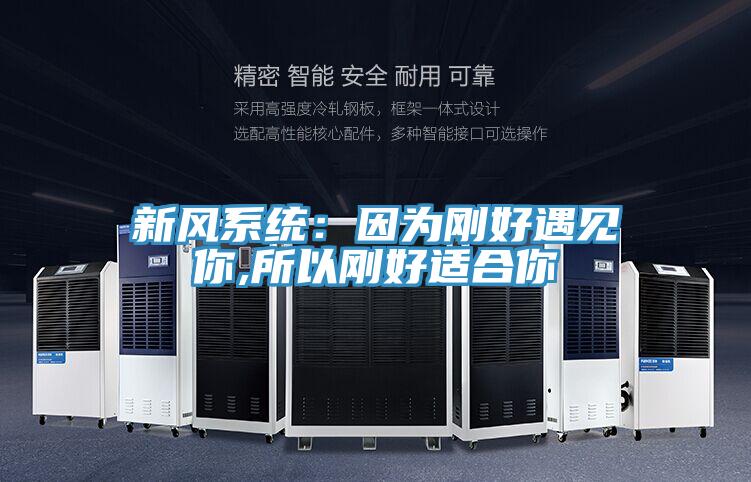 新风系统：因为刚好遇见你,所以刚好适合你