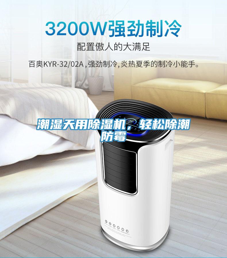 潮湿天用泡芙短视频APP官方下载地址，轻松除潮防霉