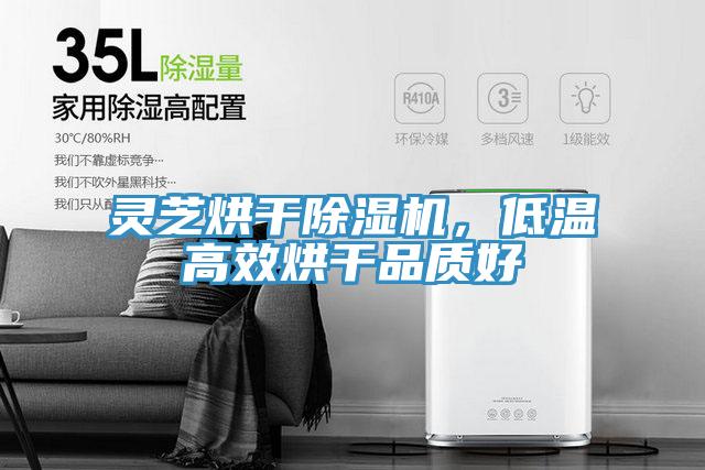 灵芝烘干泡芙短视频APP官方下载地址，低温高效烘干品质好