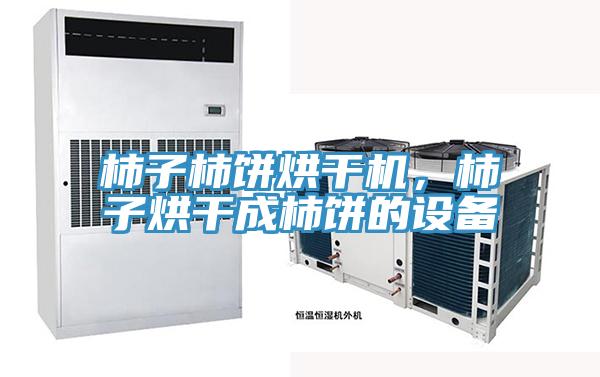 柿子柿饼烘干机，柿子烘干成柿饼的设备