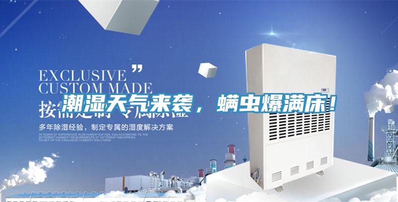 潮湿天气来袭，螨虫爆满床！