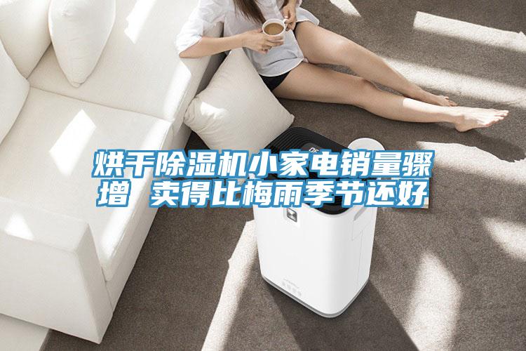 烘干泡芙短视频APP官方下载地址小家电销量骤增 卖得比梅雨季节还好