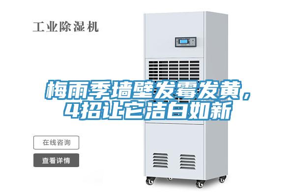 梅雨季墙壁发霉发黄，4招让它洁白如新