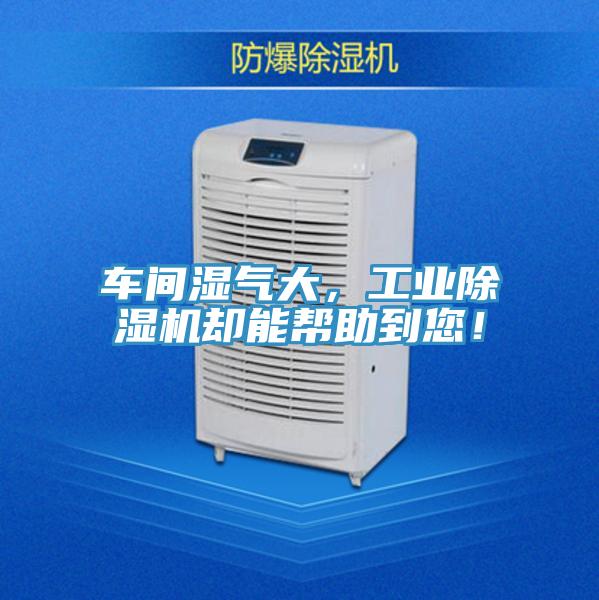 车间湿气大，工业泡芙短视频APP官方下载地址却能帮助到您！