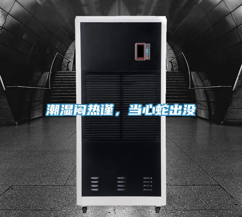 潮湿闷热谨，当心蛇出没