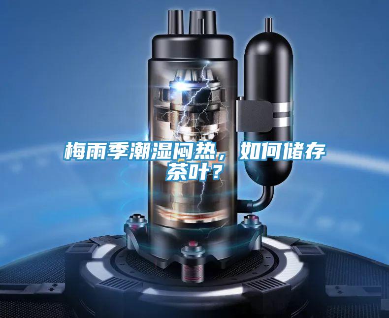 梅雨季潮湿闷热，如何储存茶叶？