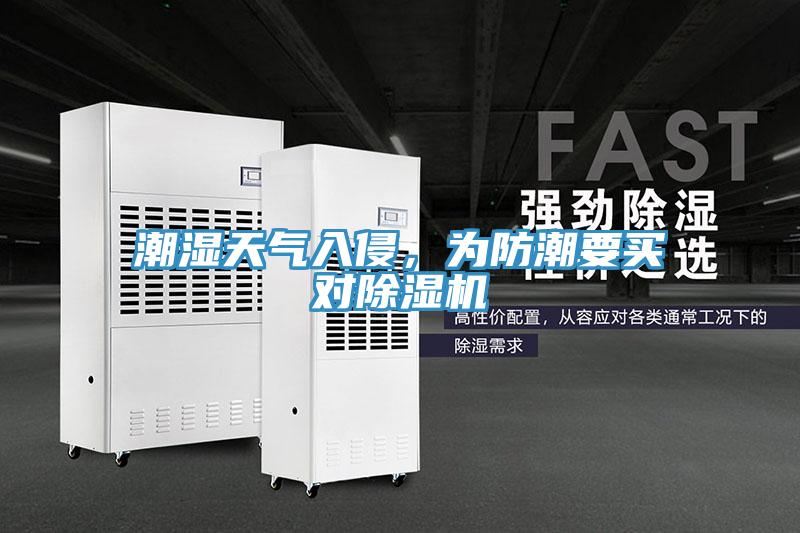 潮湿天气入侵，为防潮要买对泡芙短视频APP官方下载地址