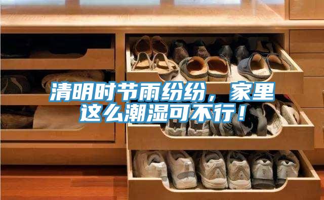 清明时节雨纷纷，家里这么潮湿可不行！