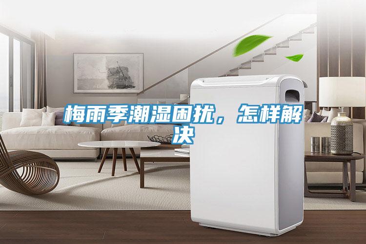 梅雨季潮湿困扰，怎样解决