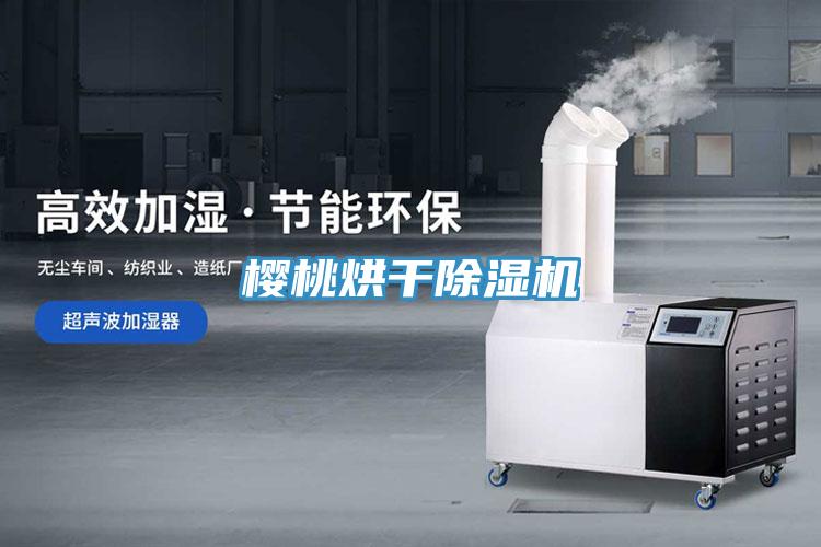 樱桃烘干泡芙短视频APP官方下载地址