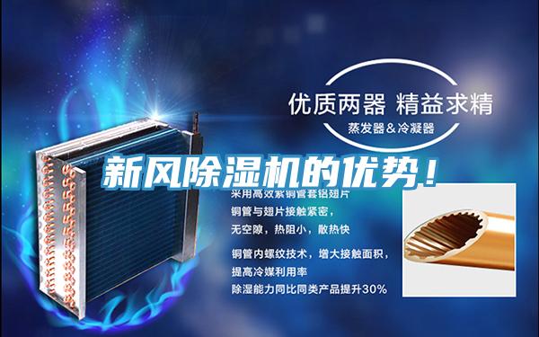 新风泡芙短视频APP官方下载地址的优势！