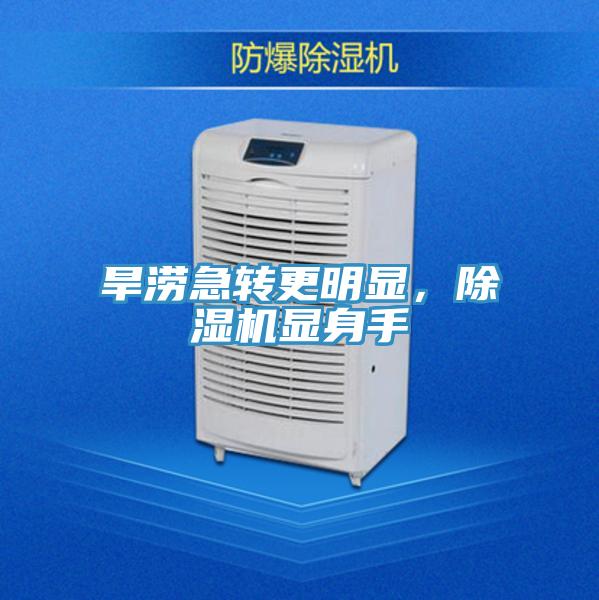 旱涝急转更明显，泡芙短视频APP官方下载地址显身手