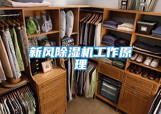 新风泡芙短视频APP官方下载地址工作原理