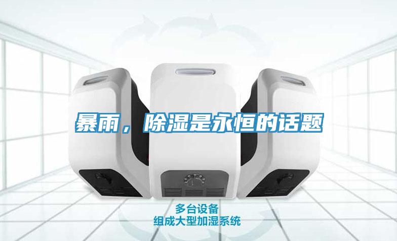 暴雨，除湿是永恒的话题