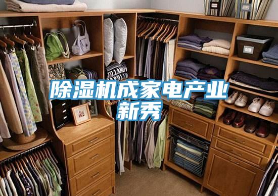 泡芙短视频APP官方下载地址成家电产业新秀