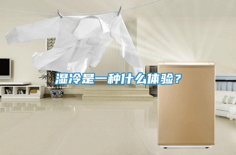 湿冷是一种什么体验？