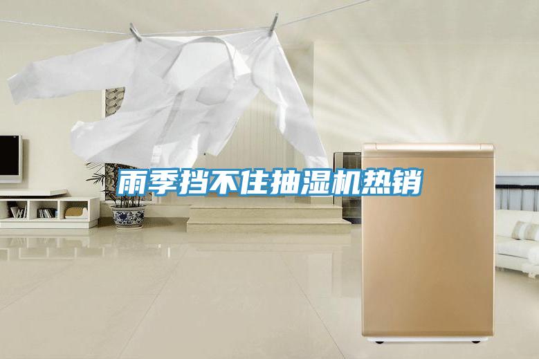 雨季挡不住抽湿机热销