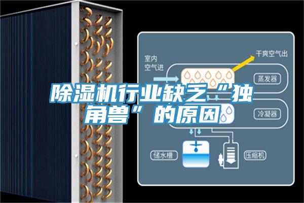 泡芙短视频APP官方下载地址行业缺乏“独角兽”的原因