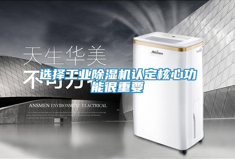 选择工业泡芙短视频APP官方下载地址认定核心功能很重要