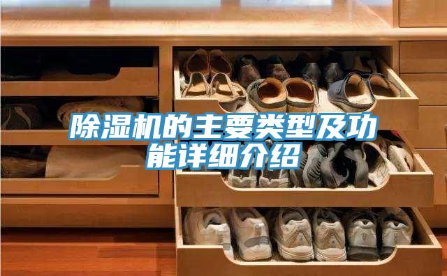 泡芙短视频APP官方下载地址的主要类型及功能详细介绍