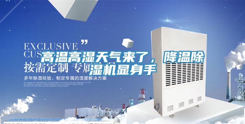 高温高湿天气来了，降温泡芙短视频APP官方下载地址显身手