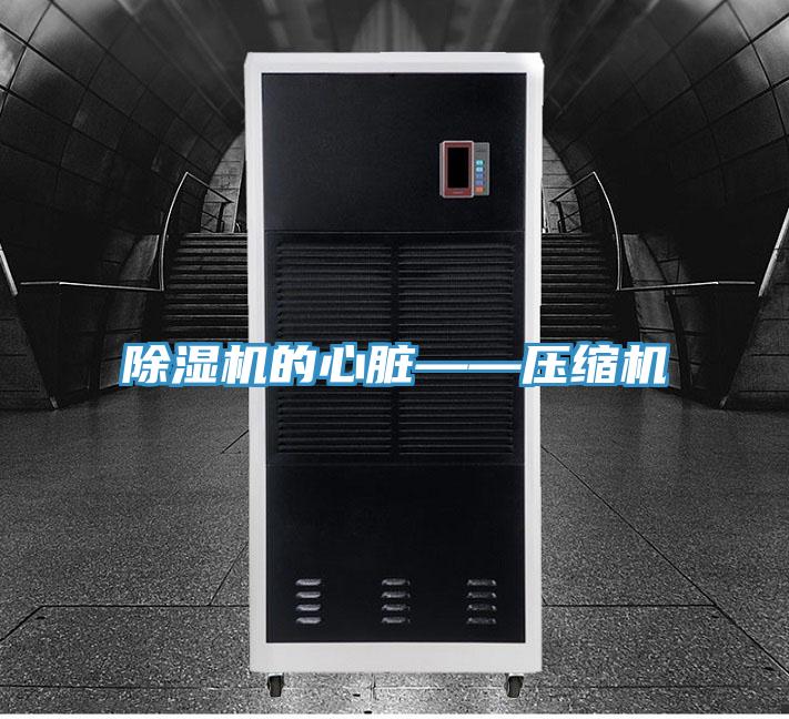 泡芙短视频APP官方下载地址的心脏——压缩机