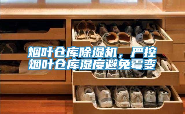 烟叶仓库泡芙短视频APP官方下载地址，严控烟叶仓库湿度避免霉变