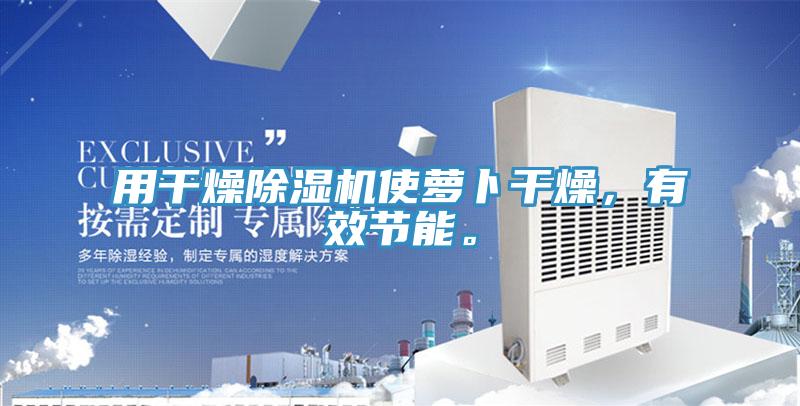 用干燥泡芙短视频APP官方下载地址使萝卜干燥，有效节能。