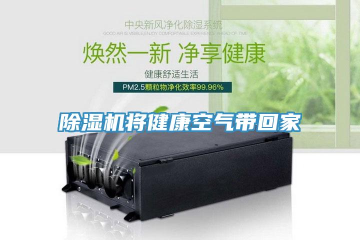 泡芙短视频APP官方下载地址将健康空气带回家