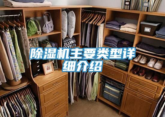 泡芙短视频APP官方下载地址主要类型详细介绍