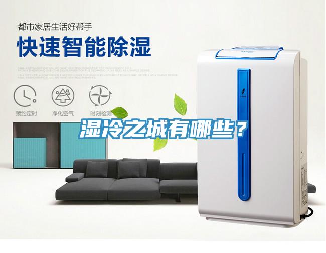 湿冷之城有哪些？