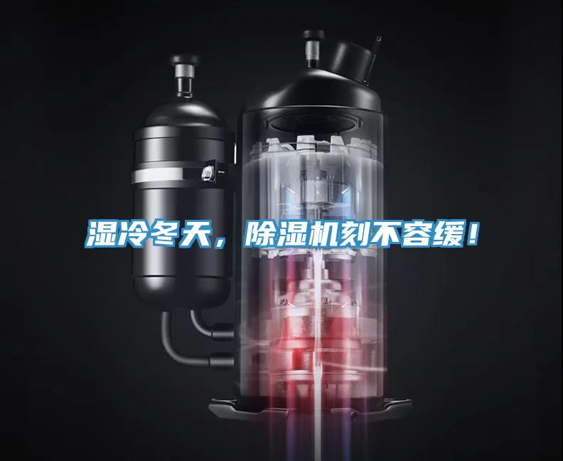 湿冷冬天，泡芙短视频APP官方下载地址刻不容缓！