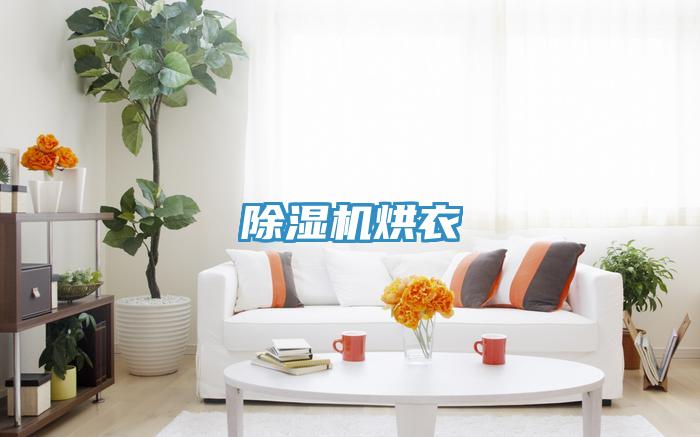 泡芙短视频APP官方下载地址烘衣