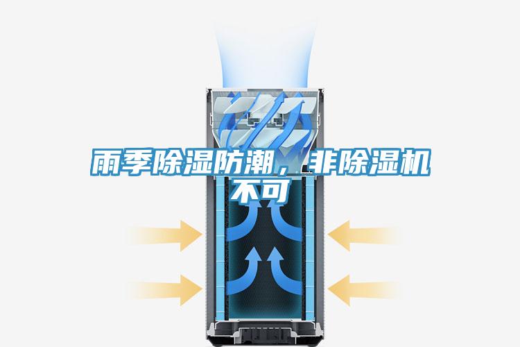 雨季除湿防潮，非泡芙短视频APP官方下载地址不可