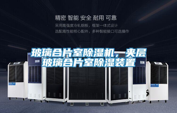 玻璃合片室泡芙短视频APP官方下载地址，夹层玻璃合片室除湿装置