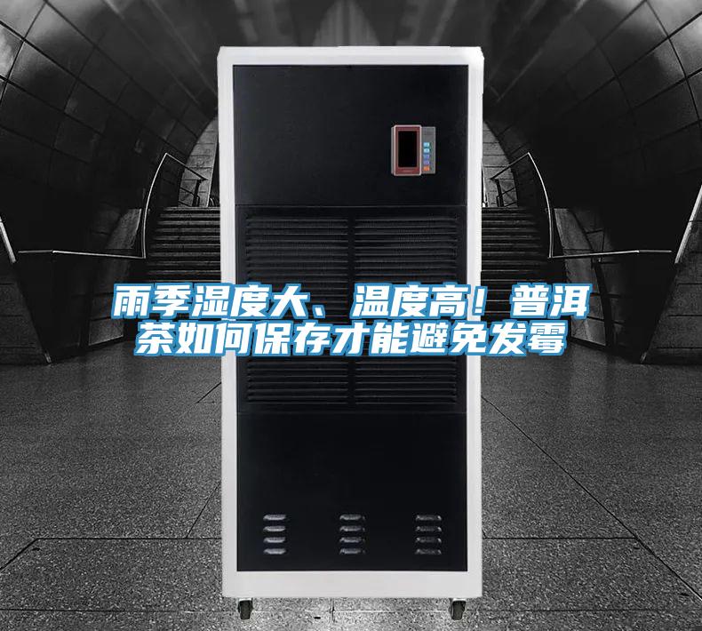 雨季湿度大、温度高！普洱茶如何保存才能避免发霉