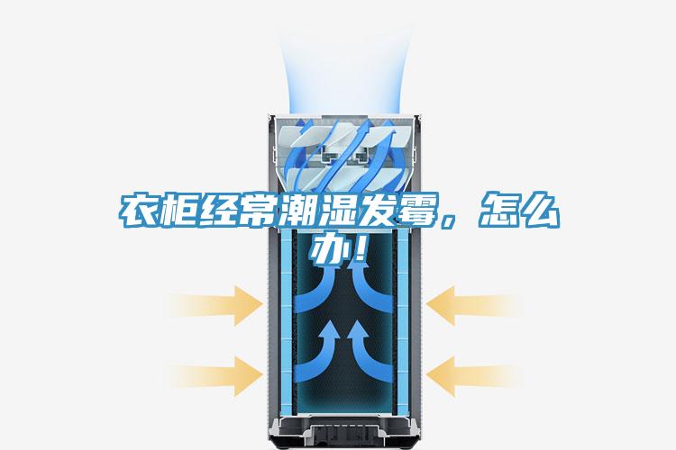 衣柜经常潮湿发霉，怎么办！