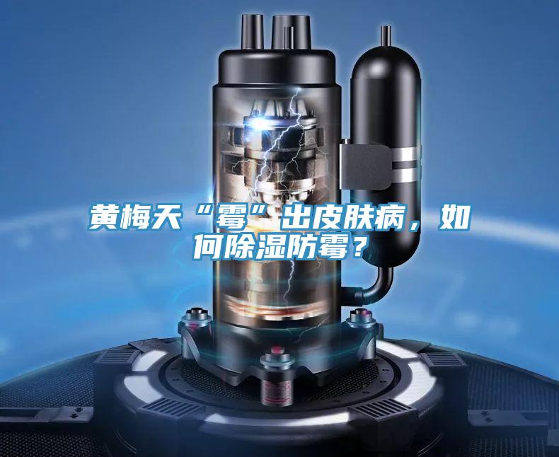 黄梅天“霉”出皮肤病，如何除湿防霉？