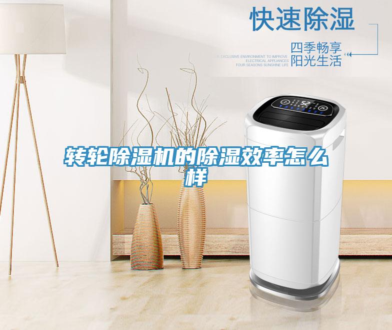 转轮泡芙短视频APP官方下载地址的除湿效率怎么样