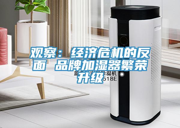 观察：经济危机的反面 品牌加湿器繁荣升级
